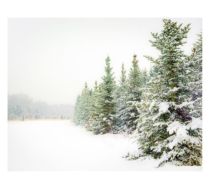 Snow Scene Framed Print By Cindy Taylor Pottery Barn