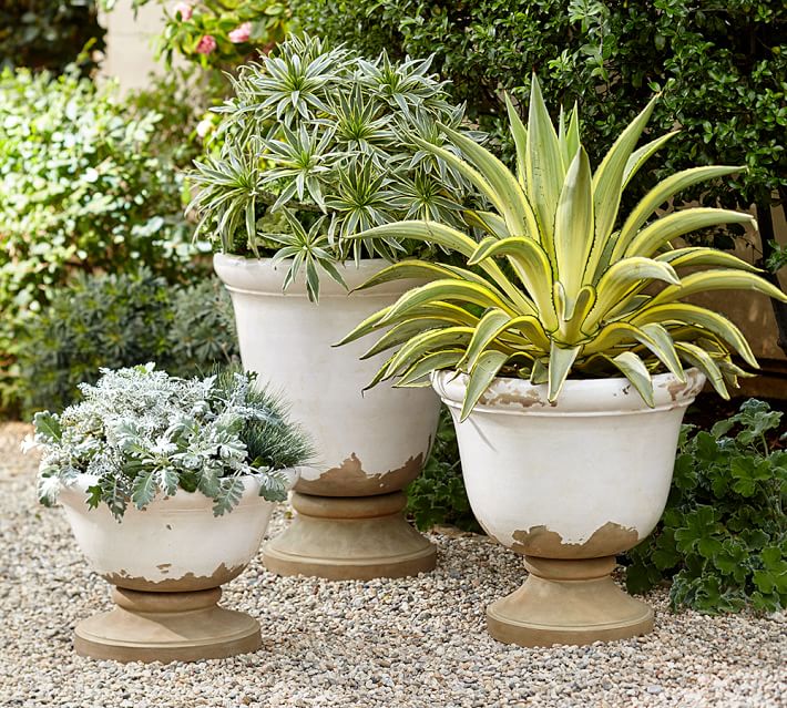 Large White Ceramic Outdoor Planters Ideas Large White Ceramic Outdoor Planters Ideas