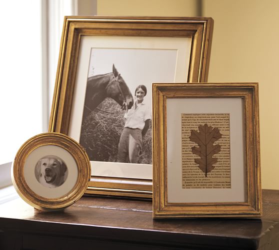 Gilded Gold Frames Pottery Barn
