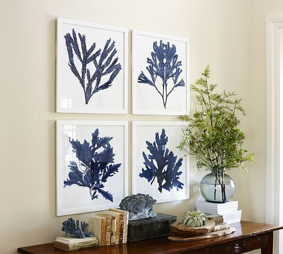  Framed  Coral  Prints Indigo Pottery Barn