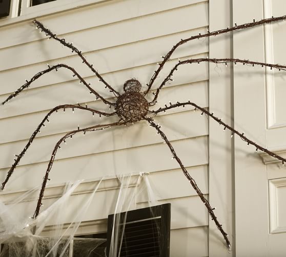 Lit Twig Oversized Spider Pottery Barn