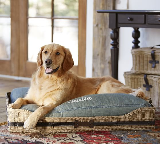 Jacquelyne Dog Bed Basket | Pottery Barn