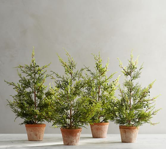 Faux Juniper Tree with Berries Pottery Barn