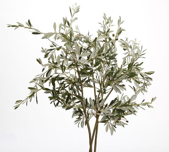 Faux Olive Branch Pottery Barn