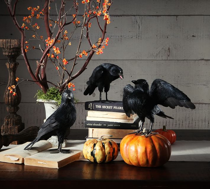 faux crows pottery barn
