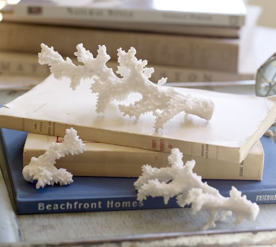 White Coral Vase Filler Pottery Barn