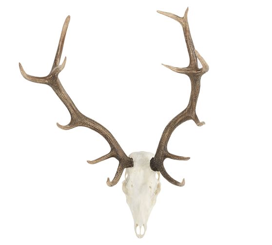 Deer Skull Wall Art Pottery Barn