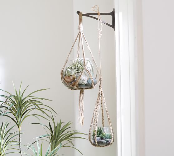 Hanging Glass Terrarium with Rope Pottery Barn