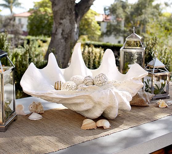 Giant Clam Shell Pottery Barn Roll Over Image To Zoom