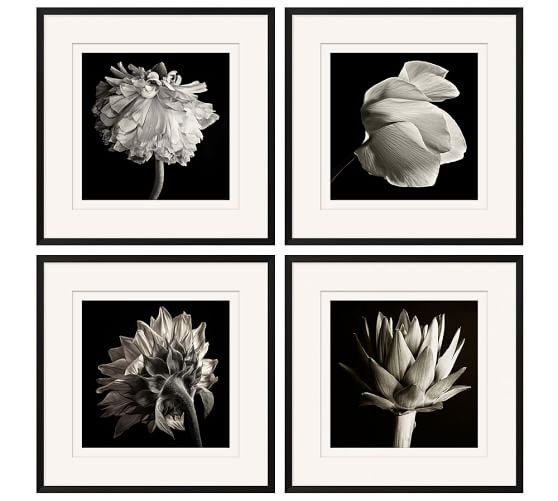 Flower black white framed print Flower black white framed print