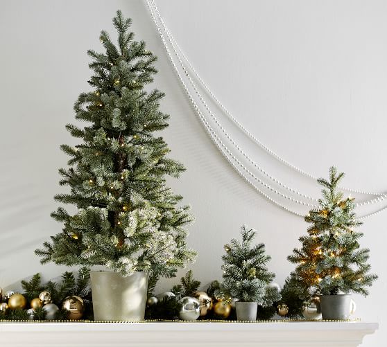 Lit Faux Blue Spruce Trees in Basket | Pottery Barn