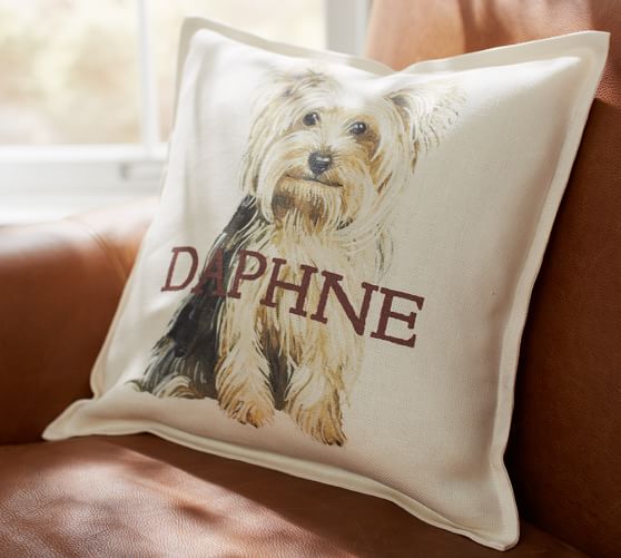 Personalized Painted Dog Pillow Covers | Pottery Barn
