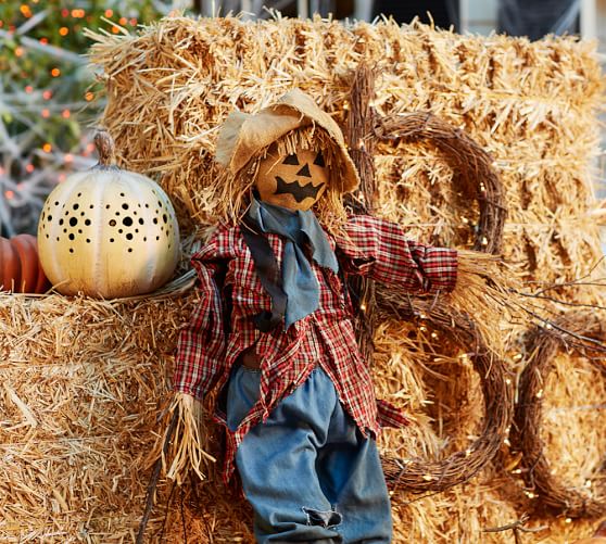 Scarecrow | Pottery Barn
