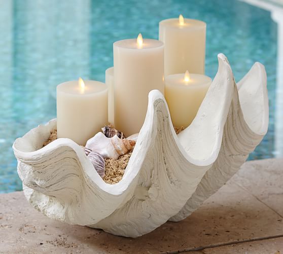 Giant Clam Shell Pottery Barn Giant Clam Shell