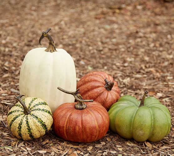 Faux Pumpkins Pottery Barn