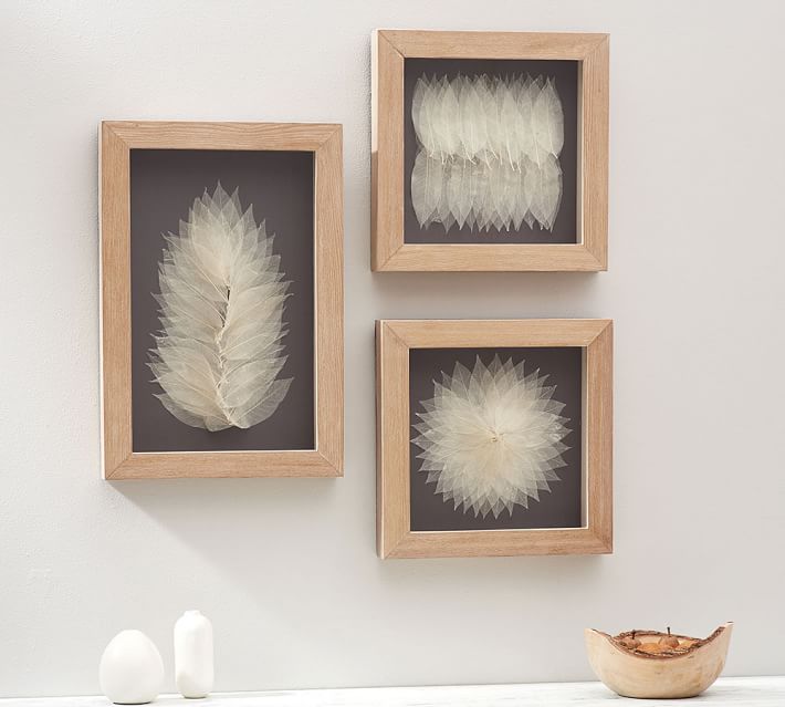 Framed Leaf Wall Art Pottery Barn