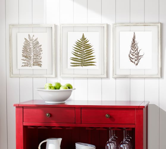 pressed fern wall art set of 3 pottery barn