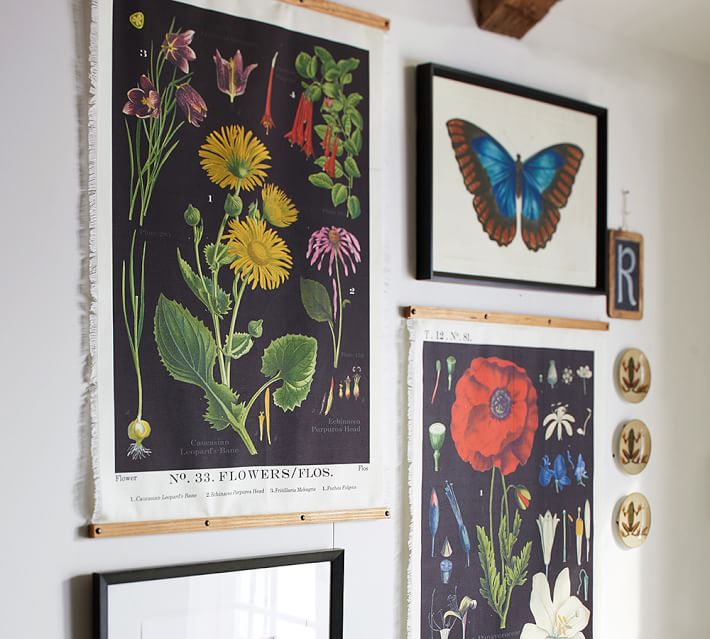 Botanical Printed Canvas Pottery Barn