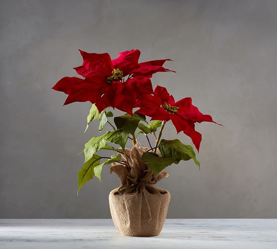 Faux Potted Poinsettia Pottery Barn