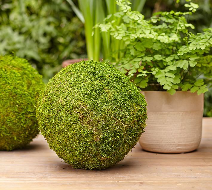 Oversized Moss Balls Pottery Barn Delectable Decorating With Moss Balls Oversized Moss Balls Pottery Barn Delectable Decorating With Moss Balls