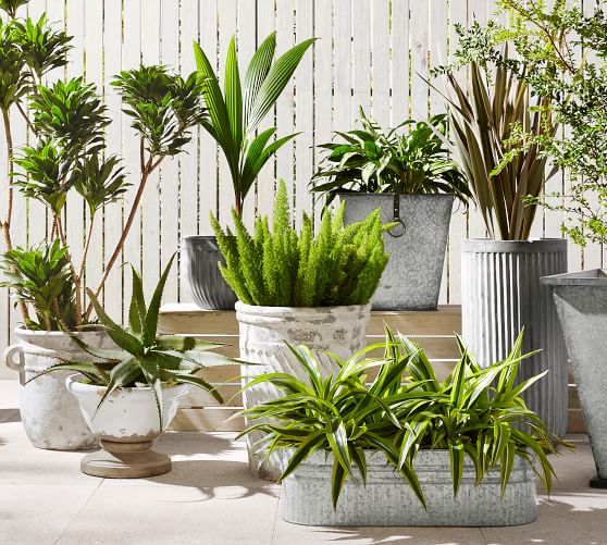 Tuscan Planters Pottery Barn