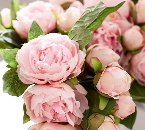 Faux Peony Bundle Pink Pottery Barn