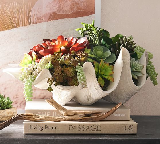 Faux Clam Succulent Pottery Barn Scroll To Previous Item