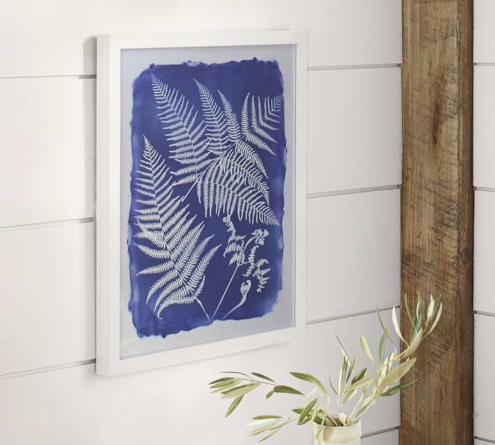 Cyanotype Framed Prints Pottery Barn