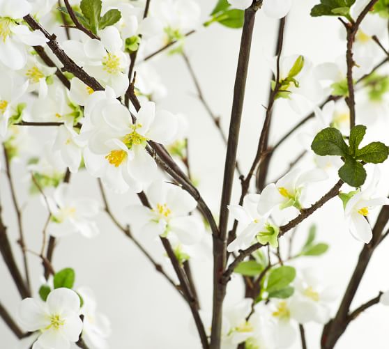 Faux Dogwood Branch Pottery Barn