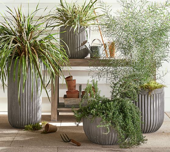 Concrete Fluted Planters Pottery Barn