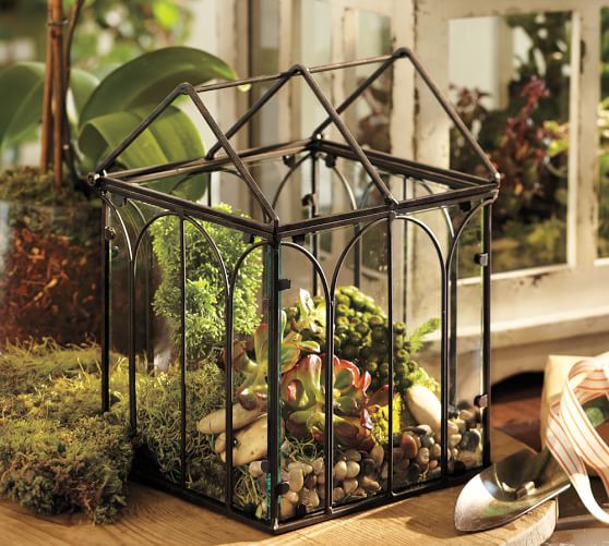 Wire Terrariums Pottery Barn
