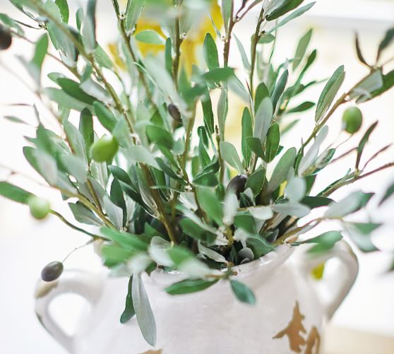 Faux Olive Bundle Pottery Barn