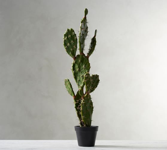 Faux Large Potted Opuntia Cactus Pottery Barn Faux Large Potted Opuntia Cactus