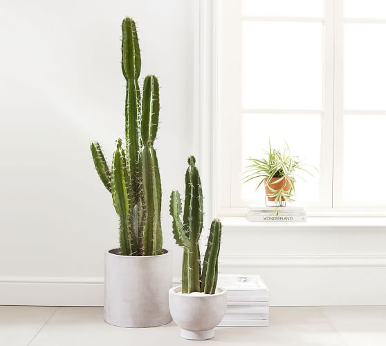 Faux Potted Saguaro Cactus | Pottery Barn