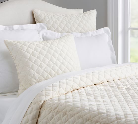 Nia Velvet Quilt & Sham Ivory Pottery Barn