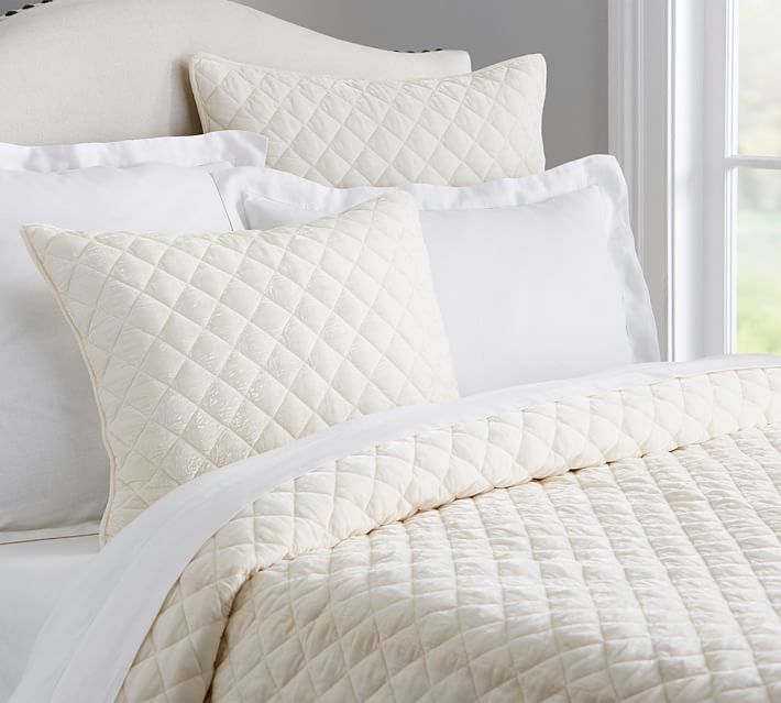 Nia Velvet Quilt Sham Ivory Pottery Barn