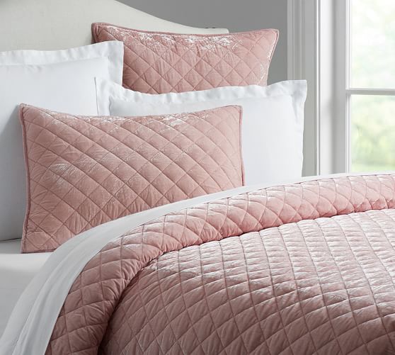Nia Velvet Quilt & Sham Rose Pottery Barn