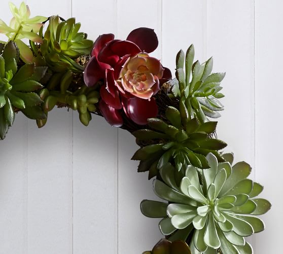 Faux Succulent & Moss Wreath Pottery Barn