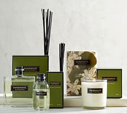 Scented Candles Diffusers Pottery Barn Signature Homescent Collection Paperwhite