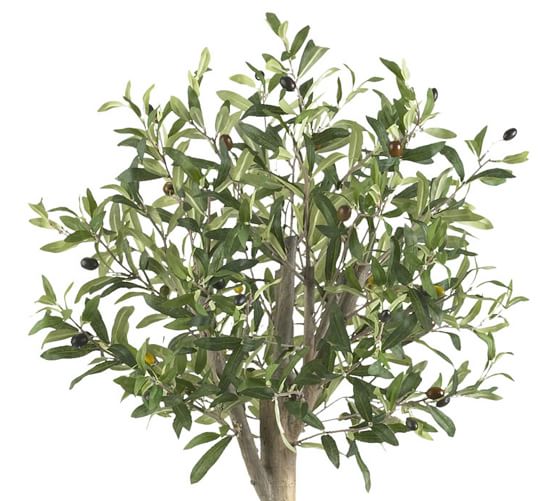 Faux Potted Olive Double Topiary Tree Pottery Barn
