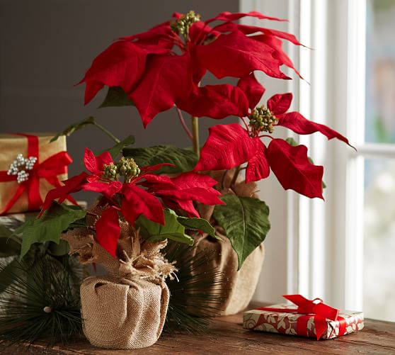 Faux Potted Red Poinsettia Pottery Barn