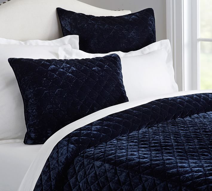 Nia Velvet Quilted Sham Pottery Barn