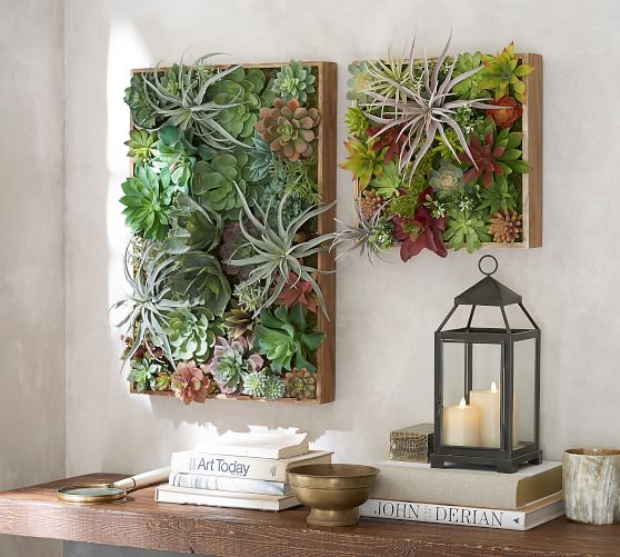 succulent wall pottery barn