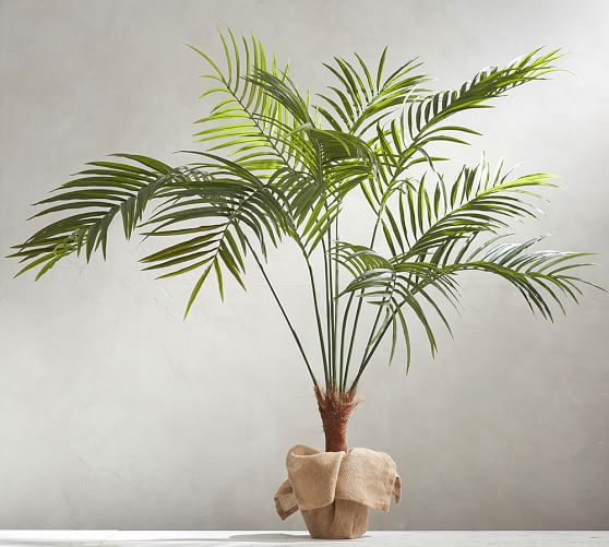 Faux Potted Palm Tree Pottery Barn