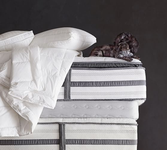 beautyrest golden gate plush pillowtop