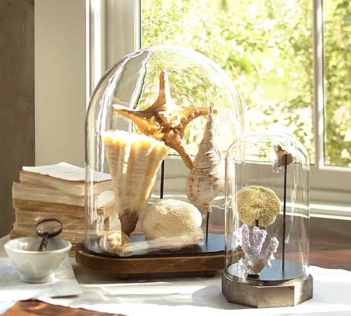 shell cloche pottery barn