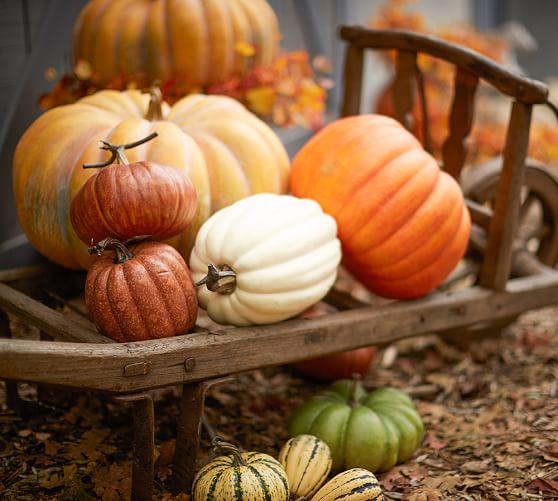 Faux Pumpkins Pottery Barn