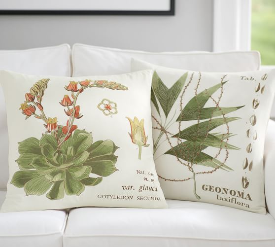 Succulent Embroidered Decorative Pillow Covers Pottery Barn Succulent Embroidered Pillow Covers
