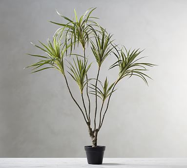Faux Potted Fringe Palm | Pottery Barn