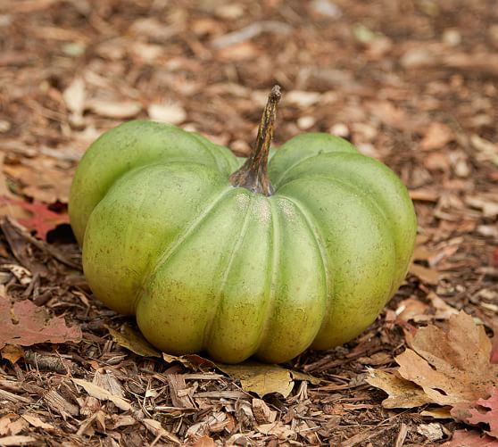 Faux Pumpkins | Pottery Barn